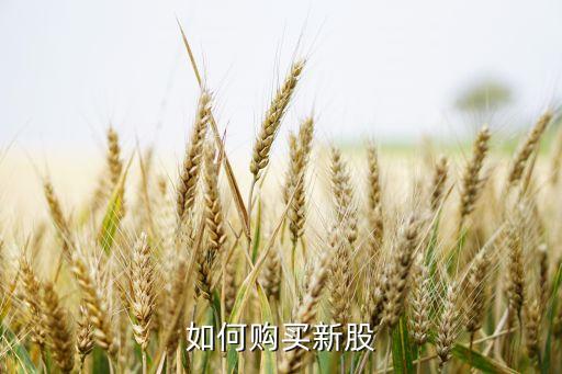 如何購(gòu)買(mǎi)新股