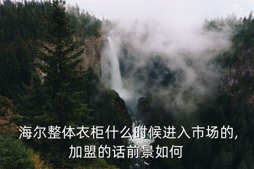  海爾整體衣柜什么時(shí)候進(jìn)入市場的,加盟的話前景如何
