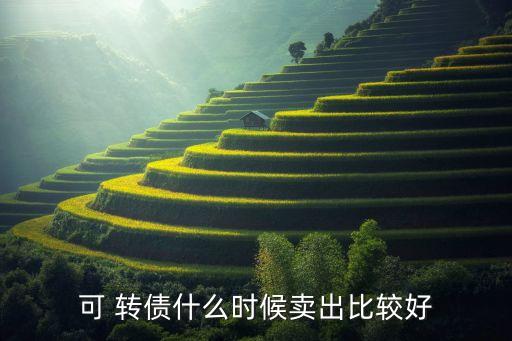 股票轉債可以隨時賣嗎,股票可以隨時買隨時賣嗎?