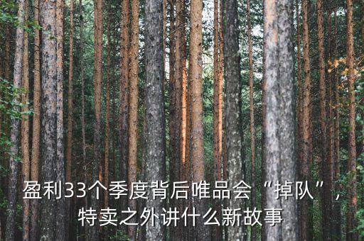 杉杉集團董事長鄭學明