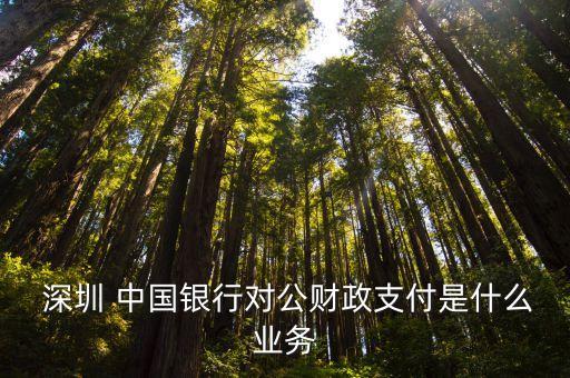  深圳 中國銀行對(duì)公財(cái)政支付是什么業(yè)務(wù)