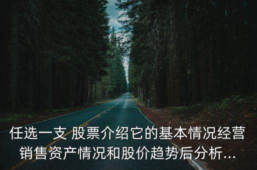 任選一支 股票介紹它的基本情況經(jīng)營(yíng)銷售資產(chǎn)情況和股價(jià)趨勢(shì)后分析...