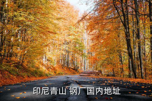  印尼青山 鋼廠國(guó)內(nèi)地址