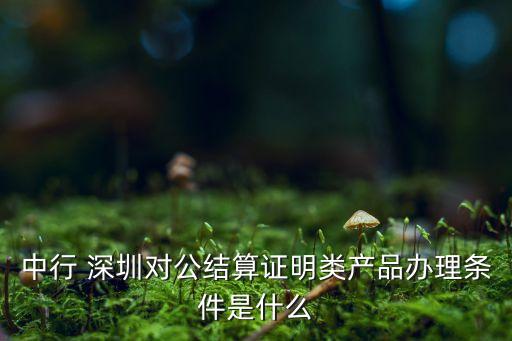 深圳招標(biāo)中國(guó)銀行賬戶,中國(guó)銀行天津分行保安招標(biāo)