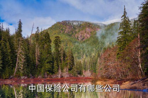 中國(guó)保險(xiǎn)公司有哪些公司