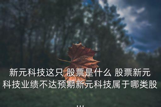 新元科技這只 股票是什么 股票新元科技業(yè)績不達(dá)預(yù)期新元科技屬于哪類股...