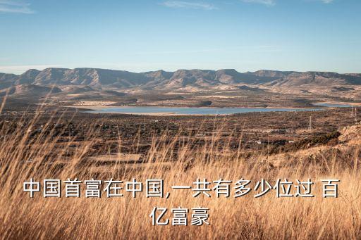 中國(guó)首富在中國(guó),一共有多少位過(guò) 百億富豪