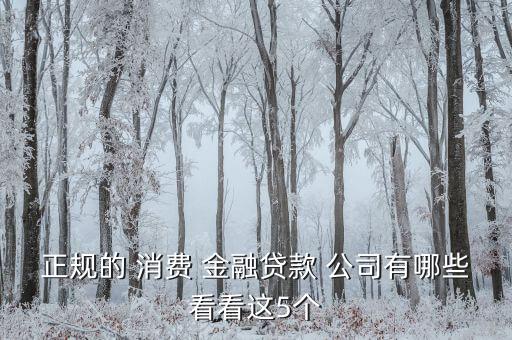正規(guī)的 消費 金融貸款 公司有哪些看看這5個