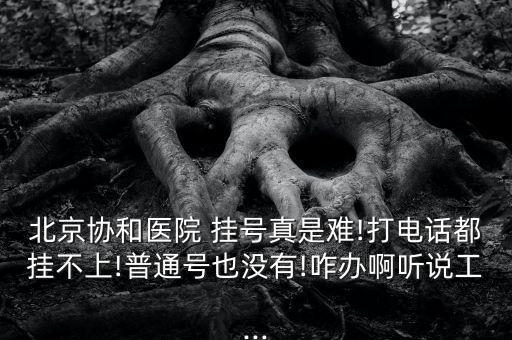 北京協(xié)和醫(yī)院 掛號(hào)真是難!打電話都掛不上!普通號(hào)也沒有!咋辦啊聽說工...