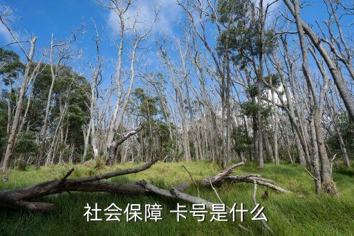 深圳商業(yè)銀行金融社?？ㄌ?深圳農(nóng)村商業(yè)銀行辦社?？ㄒ嗑媚玫?/></a></span><span id=