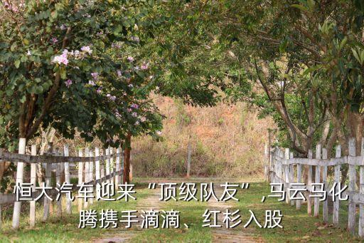 恒大汽車迎來“頂級隊(duì)友”,馬云馬化騰攜手滴滴、紅杉入股