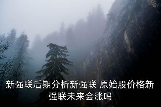 新強聯后期分析新強聯 原始股價格新強聯未來會漲嗎