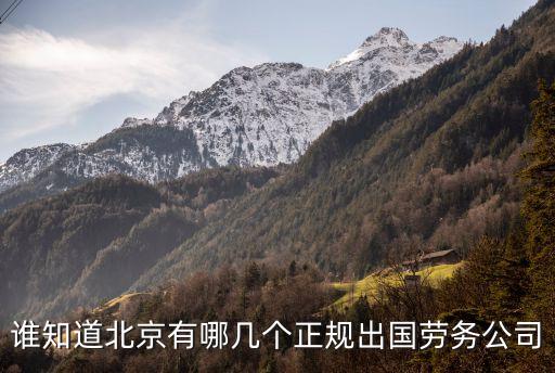 誰知道北京有哪幾個(gè)正規(guī)出國勞務(wù)公司