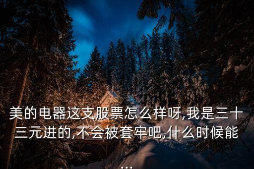 美的電器這支股票怎么樣呀,我是三十三元進的,不會被套牢吧,什么時候能...
