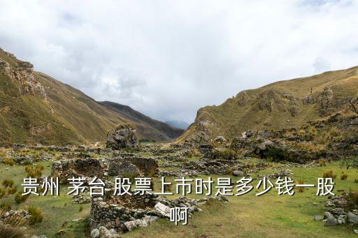 1800萬(wàn)買(mǎi)茅臺(tái)股票,20年前20萬(wàn)買(mǎi)茅臺(tái)股票