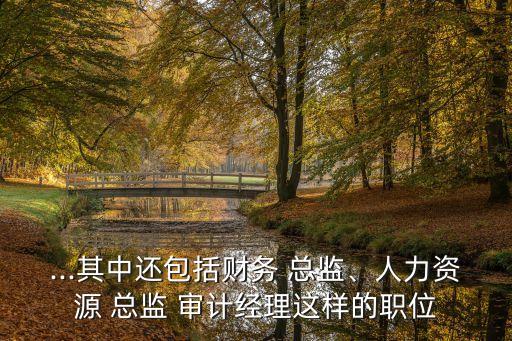 ...其中還包括財務(wù) 總監(jiān)、人力資源 總監(jiān) 審計經(jīng)理這樣的職位