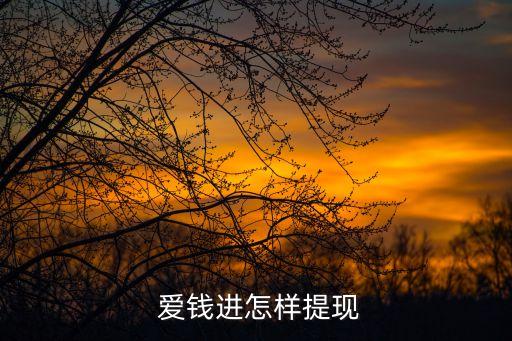  愛(ài)錢(qián)進(jìn)怎樣提現(xiàn)
