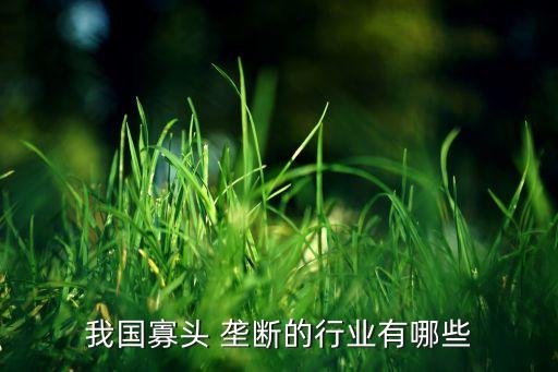 我國寡頭 壟斷的行業(yè)有哪些