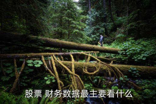 股票財務