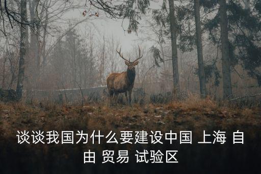 談?wù)勎覈鵀槭裁匆ㄔO(shè)中國 上海 自由 貿(mào)易 試驗區(qū)