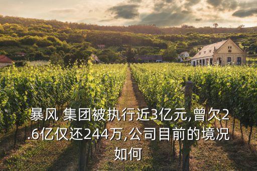  暴風(fēng) 集團(tuán)被執(zhí)行近3億元,曾欠2.6億僅還244萬,公司目前的境況如何