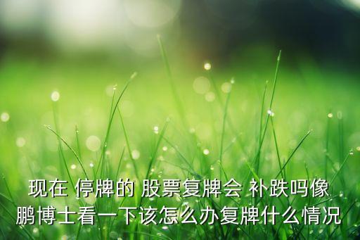 停牌補跌的股票,股票跌停牌意味著什么意思
