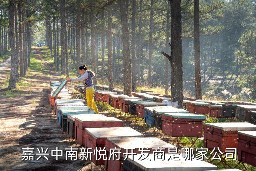  嘉興中南新悅府開(kāi)發(fā)商是哪家公司