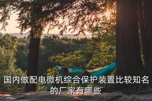 國內(nèi)做配電微機綜合保護裝置比較知名的廠家有哪些
