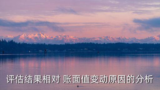評(píng)估結(jié)果相對(duì) 賬面值變動(dòng)原因的分析
