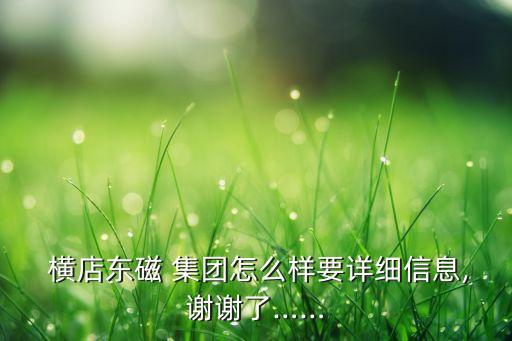  橫店東磁 集團怎么樣要詳細(xì)信息,謝謝了……