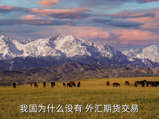 我國(guó)為什么沒有 外匯期貨交易