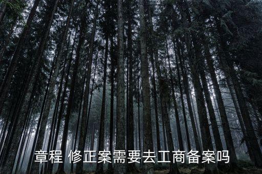 分公司章程修正案,中國殘疾人聯(lián)合會章程(修正案)