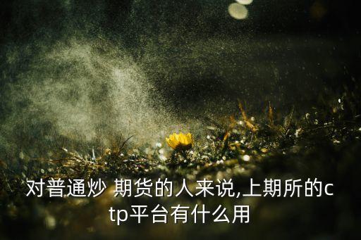 對(duì)普通炒 期貨的人來(lái)說(shuō),上期所的ctp平臺(tái)有什么用