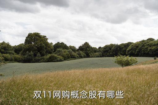 雙11網購概念股有哪些