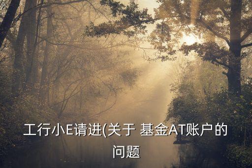 工行小E請進(關(guān)于 基金AT賬戶的問題
