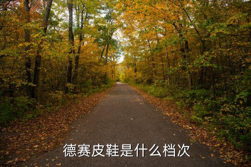 德賽工業(yè)集團(tuán)有限公司,德賽鞋業(yè)集團(tuán)有限公司董事長(zhǎng)