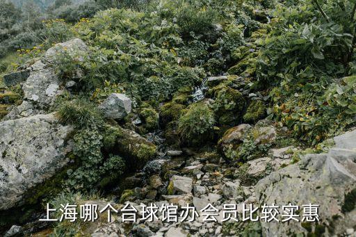  上海哪個(gè)臺球館辦會員比較實(shí)惠