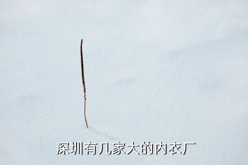  深圳有幾家大的內衣廠
