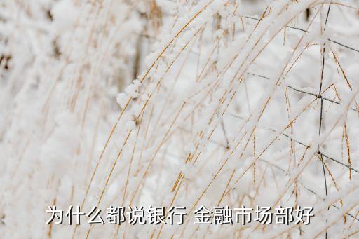 為什么都說(shuō)銀行 金融市場(chǎng)部好