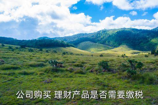  公司購(gòu)買 理財(cái)產(chǎn)品是否需要繳稅