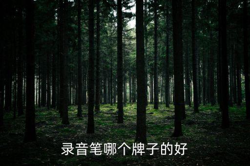 錄音筆哪個(gè)牌子的好