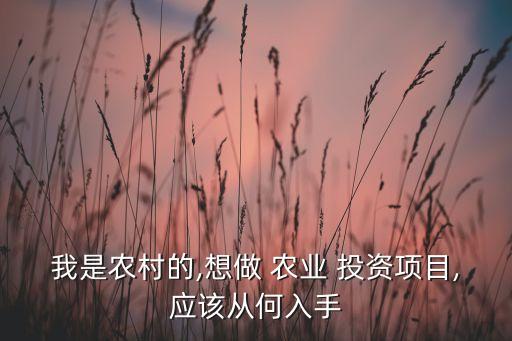 我是農(nóng)村的,想做 農(nóng)業(yè) 投資項目,應該從何入手