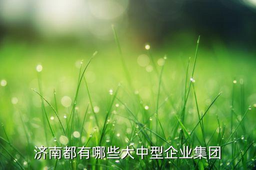 濟南都有哪些大中型企業(yè)集團