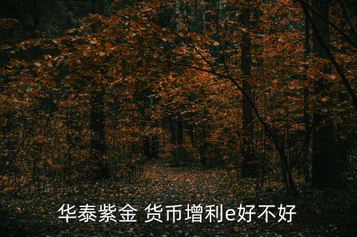 貨幣基金e,嘉實(shí)市場貨幣基金e