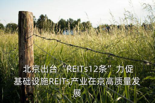  北京出臺“REITs12條”力促基礎設施REITs產(chǎn)業(yè)在京高質(zhì)量發(fā)展