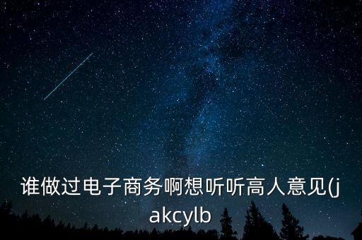 誰(shuí)做過(guò)電子商務(wù)啊想聽聽高人意見(jiàn)(jakcylb