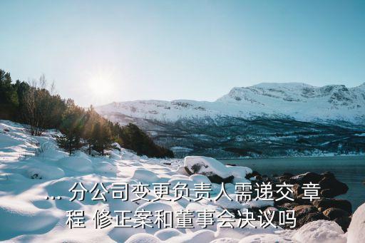 ... 分公司變更負(fù)責(zé)人需遞交 章程 修正案和董事會(huì)決議嗎