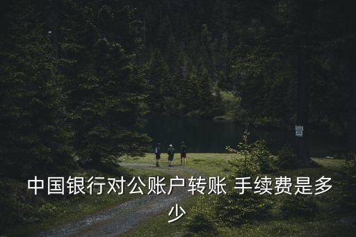 中國銀行網(wǎng)銀手續(xù)費(fèi)