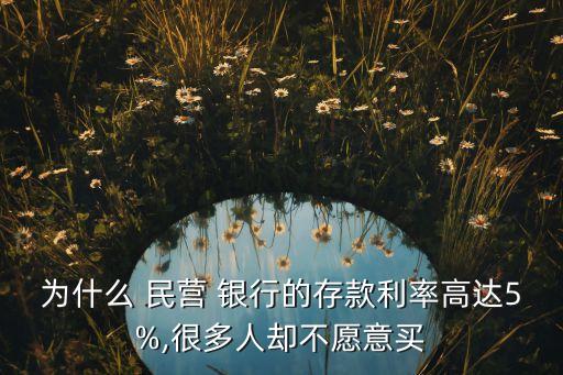 為什么 民營(yíng) 銀行的存款利率高達(dá)5%,很多人卻不愿意買