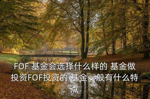FOF 基金會(huì)選擇什么樣的 基金做投資FOF投資的 基金一般有什么特點(diǎn)